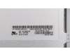 01HY599 Lenovo DISPLAY LGD 11.6HD, IPS, LCLW, AG