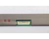 01LW115 Lenovo FRU Dummy Display 15,6 FHD LCLW 250 AUO