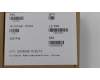 01LW321 Lenovo COVER FRU SIM cover