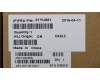 01YU981 Lenovo Flachbandkabel für FPR