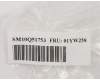01YW258 Lenovo MECH_ASM FIO BKT Assy,332BTA