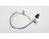 01YW374 Lenovo Kabel 28L M-B-LCD_INNOLUX_23 8 TEFL