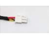 03T8112 Lenovo CABLE 600mm 4-8Pin Power Cable