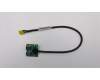 04X2736 Lenovo USB 2.0 Kabel ohne Audiokabel 370mm