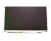 18010-13320100 Asus Original Display 1600x900 matt
