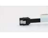 31024767 Lenovo CABLE GS 2H300mmSATA calbe Latch(R)