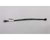 31024767 Lenovo CABLE GS 2H300mmSATA calbe Latch(R)