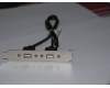 31026131 Lenovo CABLE ??LI300mm??2?USB???II HP(R)