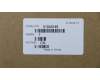 31043145 Lenovo Kabel LX 250mm SATA-Kabel mit 2 Riegeln
