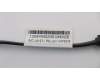 31043145 Lenovo Kabel LX 250mm SATA-Kabel mit 2 Riegeln