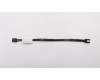 31043145 Lenovo Kabel LX 250mm SATA-Kabel mit 2 Riegeln