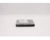 45K0623 Lenovo Festplatten-Baugruppe: Festplatte 1TB 7200 U/min DT3 SATA 3 Standard