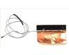 50.HSFN2.001 Acer ANTENNA MAIN
