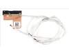 50.K65N2.002 Acer WLAN-Antenne, Auxiliary