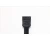 54Y9395 Lenovo FRU SATA-Kabel_R_300mm mit