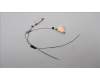 5A30Z88189 Lenovo ANTENNA FRU AMPHE WLAN AL T14G3