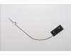 5A31F27780 Lenovo ANTENNA LOQ 26L main antenna_LUX
