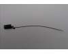 5A31F27787 Lenovo ANTENNA GB10 main antenna_AWAN
