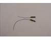 5A31F75899 Lenovo ANTENNA KIT_WLAN Antenna_HongBo