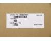 5B30Z38883 Lenovo BEZEL ThorP T15P B COVER UHD SUB ASSY