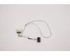 5C10F78811 Lenovo Displaykabel C Y50-70 UHD