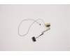 5C10F78811 Lenovo Displaykabel C Y50-70 UHD