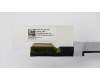 5C10J23775 Lenovo Displaykabel C Z51-70 DIS 3D