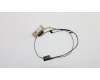 5C10L45337 Lenovo Displaykabel C 80SJ