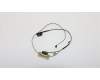 5C10L45337 Lenovo Displaykabel C 80SJ