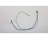 5C10L78348 Lenovo Displaykabel W 80TL
