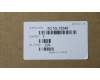 5C10L78348 Lenovo Displaykabel W 80TL