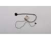 5C10M31671 Lenovo Displaykabel Q 80T8