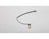 5C10M31880 Lenovo CABLE EDP Cable Q 80TA W/O Camera
