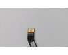 5C10N38160 Lenovo CABLE POGO CABLE B 80XF