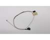 5C10N78578 Lenovo Displaykabel C 80X2