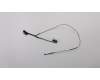 5C10P26350 Lenovo Displaykabel 81AG