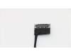5C10S29885 Lenovo Displaykabel C 81J7