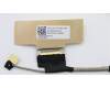 5C10S29885 Lenovo Displaykabel C 81J7