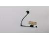 5C10S29885 Lenovo Displaykabel C 81J7