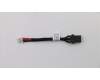 5C10S29892 Lenovo Strombuchsenkabel C 81ND