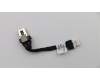 5C10S29896 Lenovo Strombuchsenkabel C 81N6
