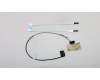 5C10S29912 Lenovo Displaykabel C 81N8