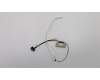 5C10S29922 Lenovo Displaykabel H 81NE
