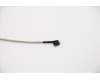 5C10S29952 Lenovo CABLE EDP Cable