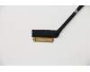 5C10S29957 Lenovo Displaykabel L 81TD