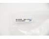 5C10S29957 Lenovo Displaykabel L 81TD