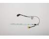 5C10S29957 Lenovo Displaykabel L 81TD
