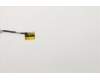 5C10S30036 Lenovo Kabel Displaykabel HD B 82B2