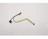 5C10S30056 Lenovo Displaykabel W 81X1