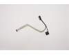 5C10S30056 Lenovo Displaykabel W 81X1